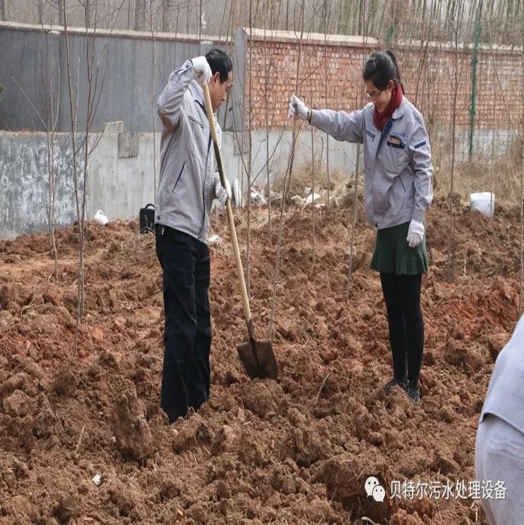 贝特环保开展“积极参加义务植树，建设美丽贝特环保”活动